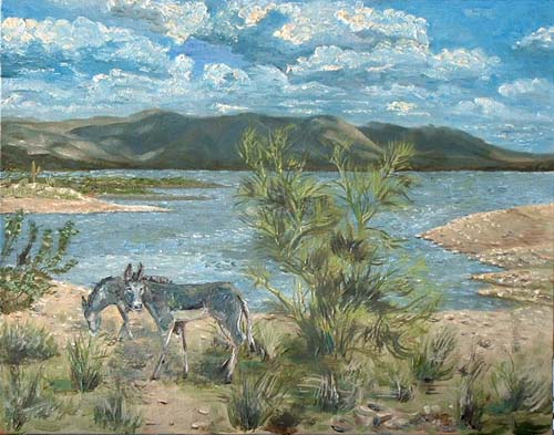 Lake Pleasant Wild Jack and Jenny