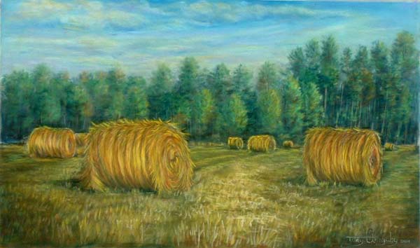 East Texas Hay Fields