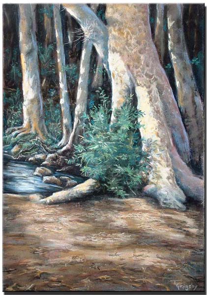 Saratoga Creek Side Tree