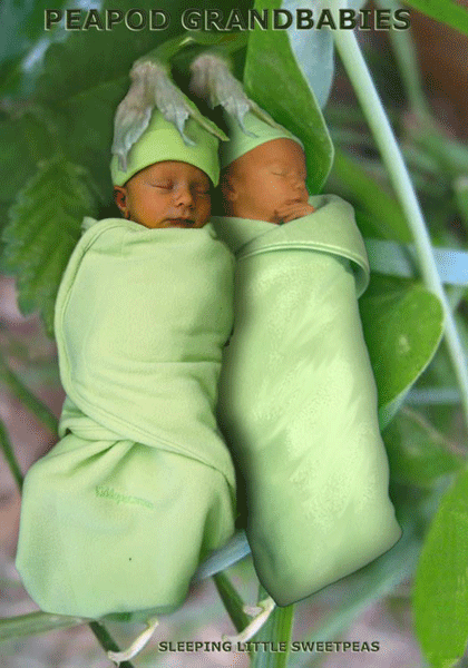 PeaPod Grandbabies