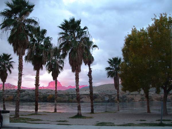 Camp David Park copy