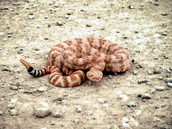 2003_1002_182154A1A copy