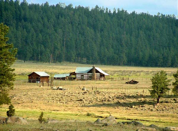 white mtn cabin copy