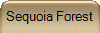 Sequoia Forest