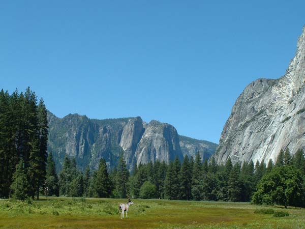 2005_0710_114008AAa copy